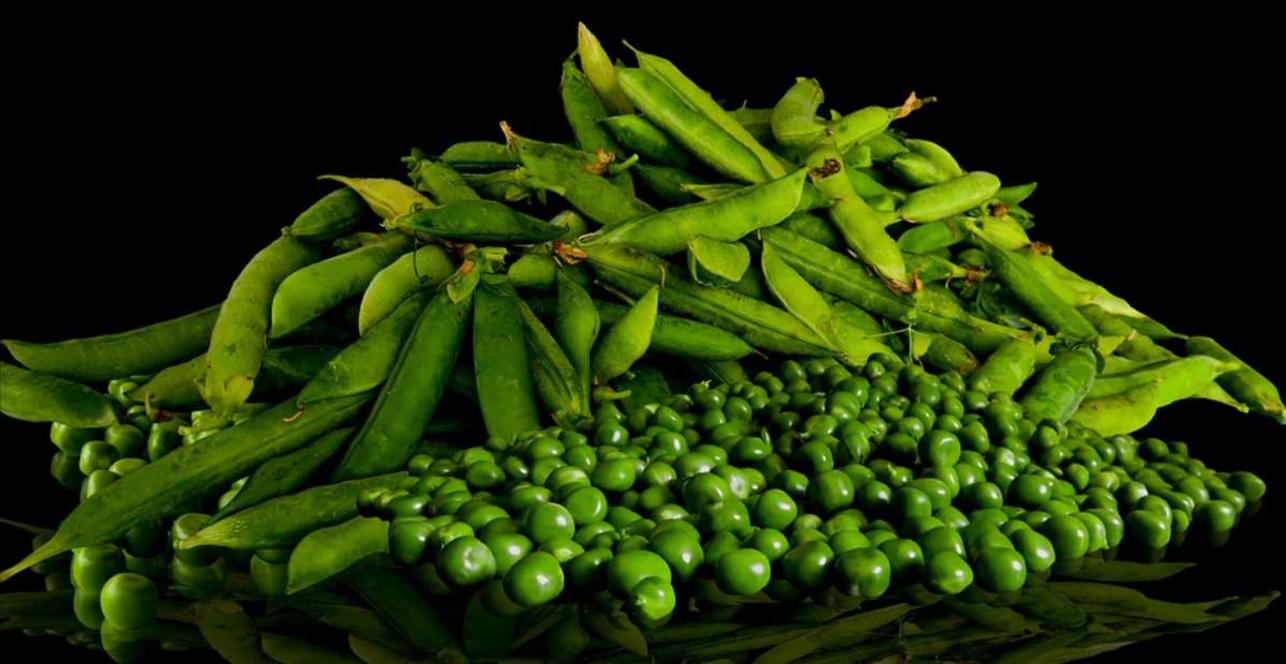 Kalori Kacang Polong: Rahasia Ringan, Kenyang, & Nggak Bikin Was-was!