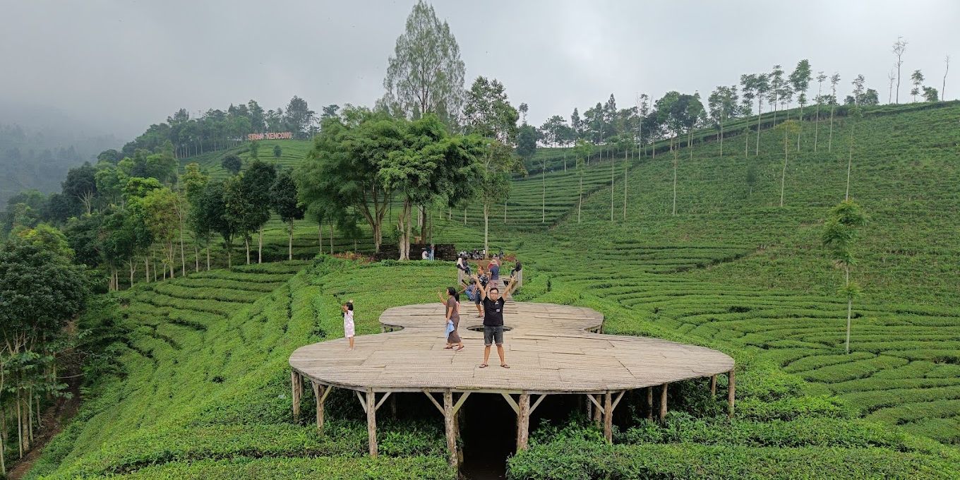 Perkebunan Teh Sirah Kencong