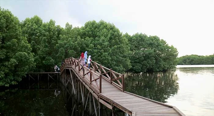 Bontang Mangrove Park