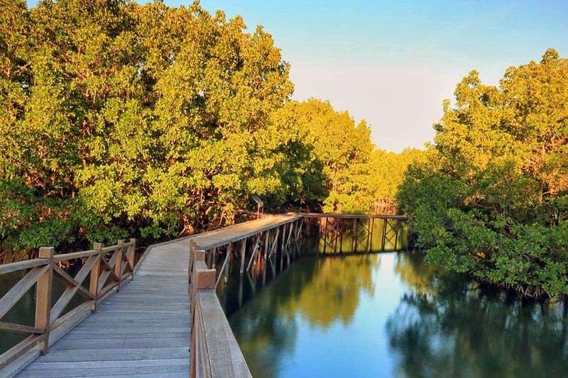 Bontang Mangrove Park