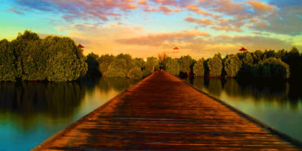 Bontang Mangrove Park: Pesona Ekowisata Hijau di Kalimantan Timur