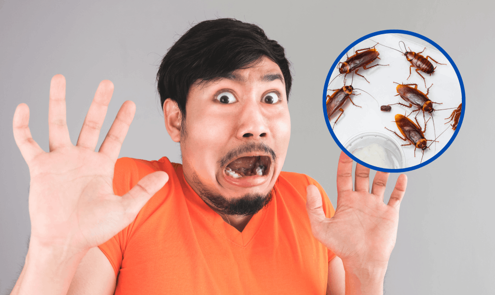 Faktor Pengalaman katsaridaphobia Traumatis Sejak Masa Kecil